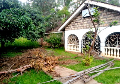 Half Acre in Garden Estate for KSh 45M