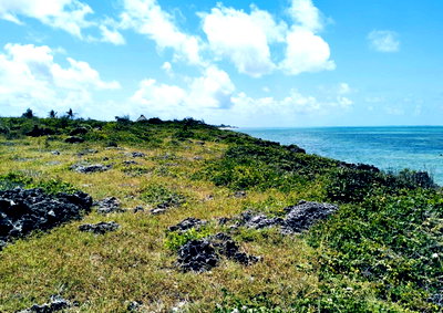 2-Acre Garden Plot at KSh 40M