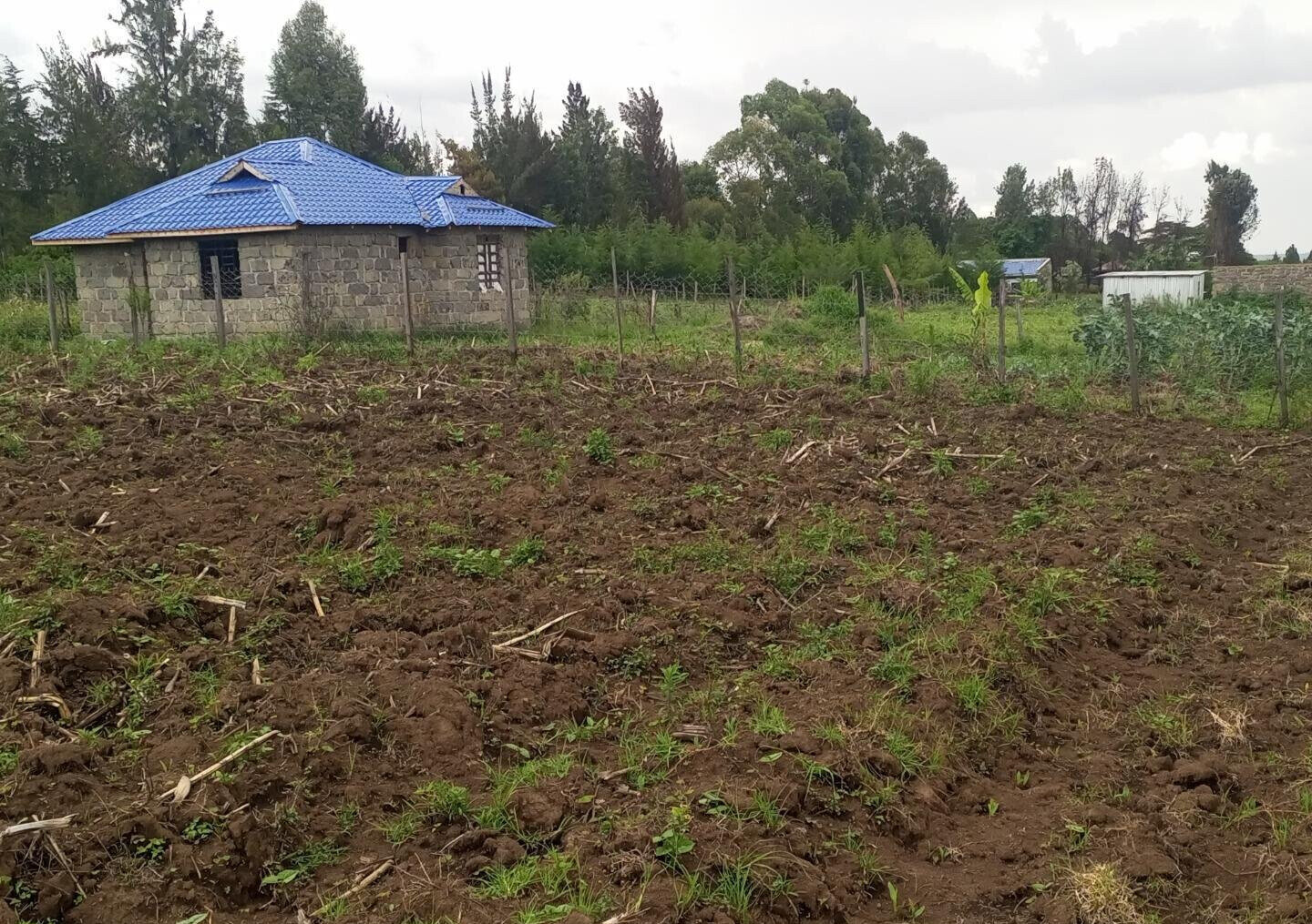 1/8 Acre Plot for KSh 500K