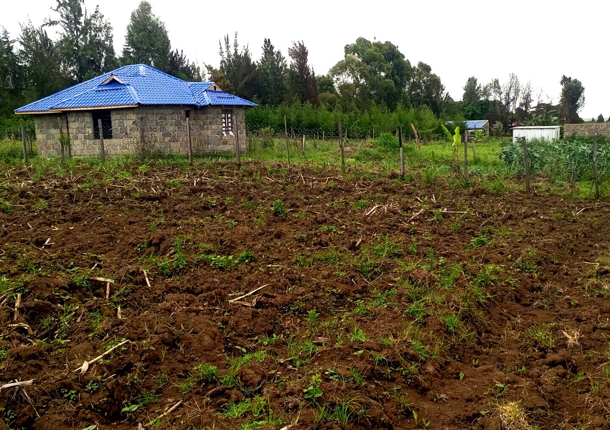 1/8 Acre Plot for KSh 500K