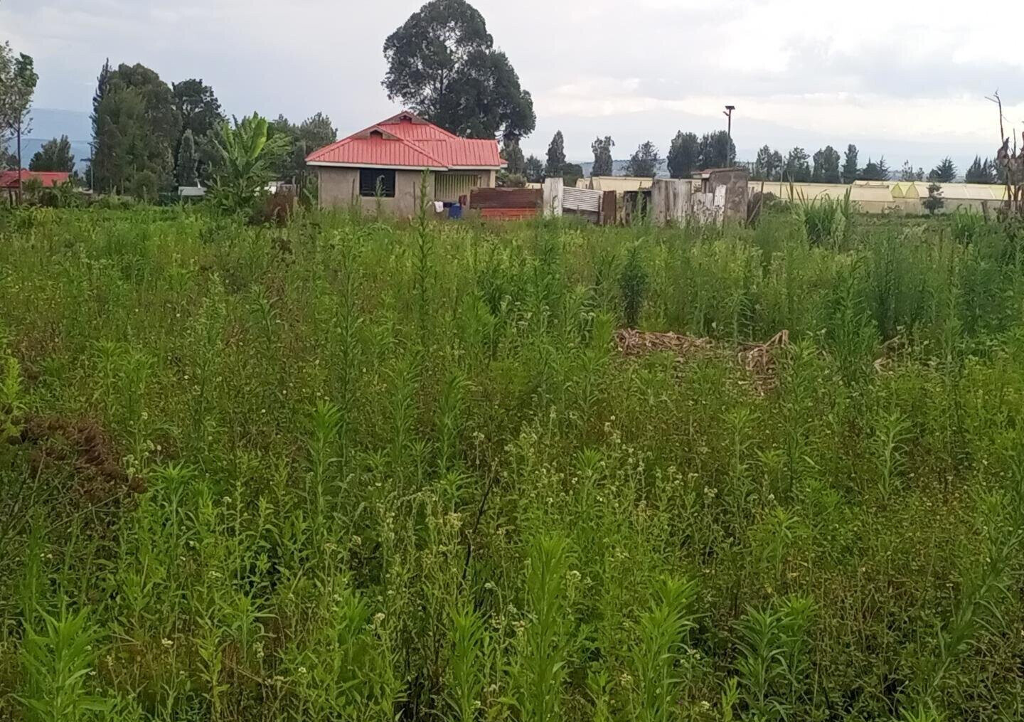 1/8 Acre Plot for KSh 500K