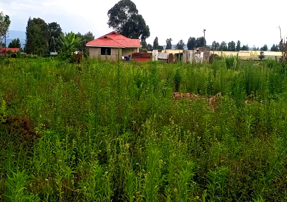 1/8 Acre Plot for KSh 500K