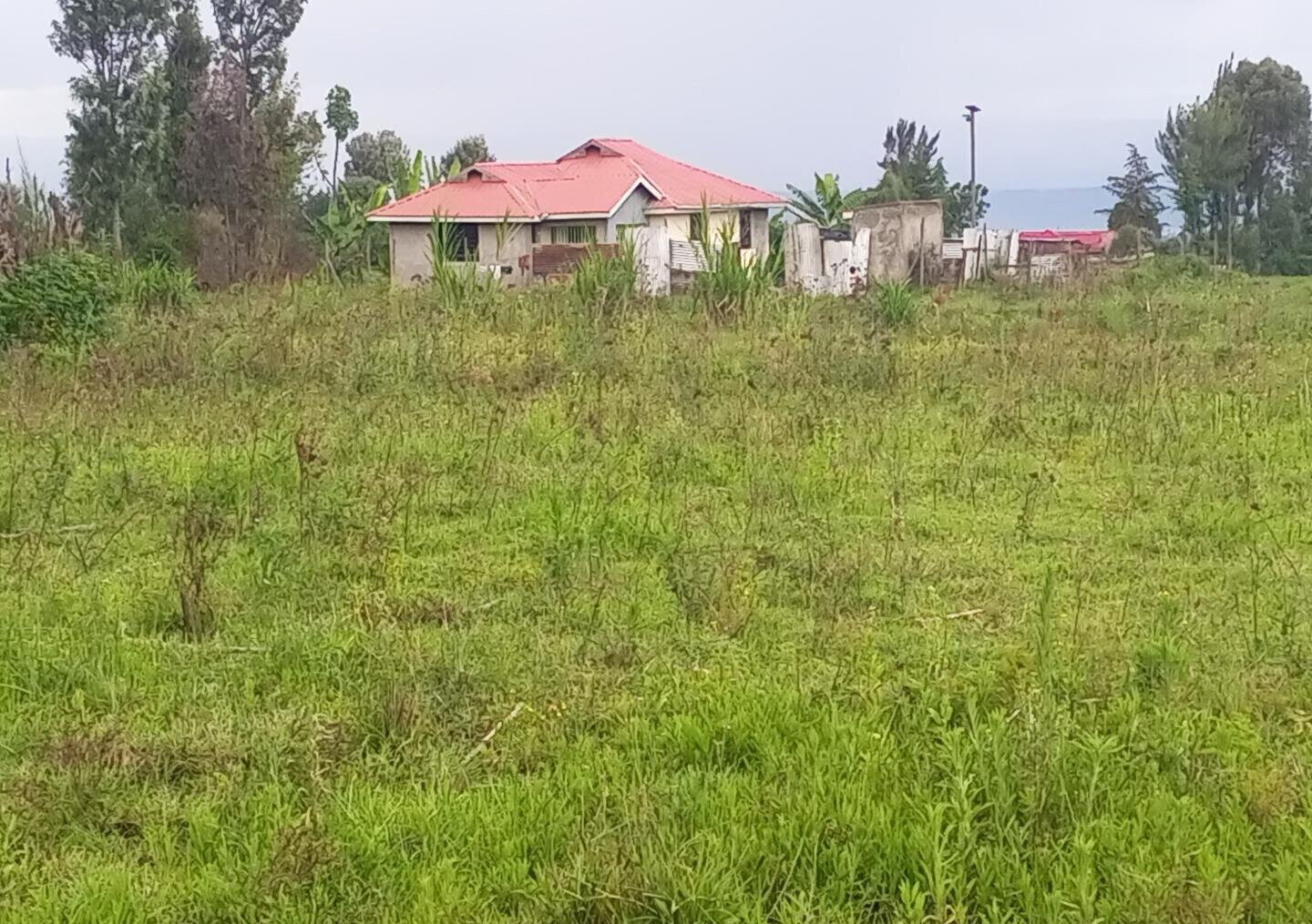 1/8 Acre Plot for KSh 500K