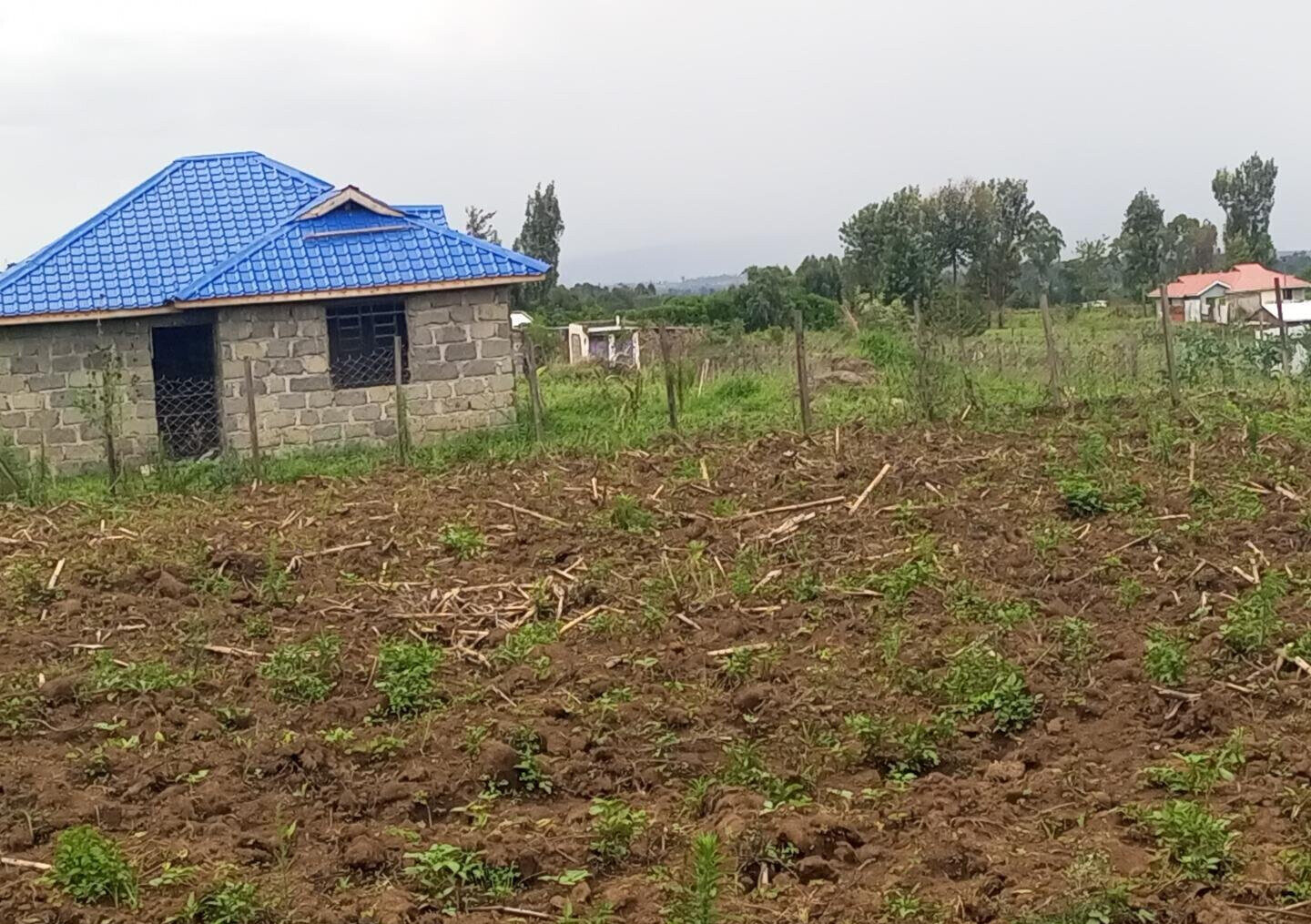 1/8 Acre Plot for KSh 500K