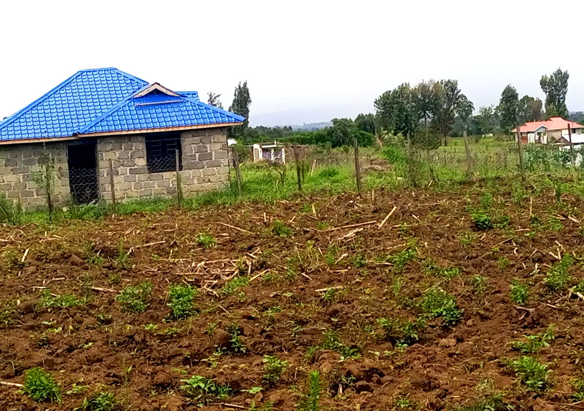 1/8 Acre Plot for KSh 500K