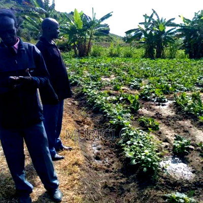 One And Half Acre - Image 1