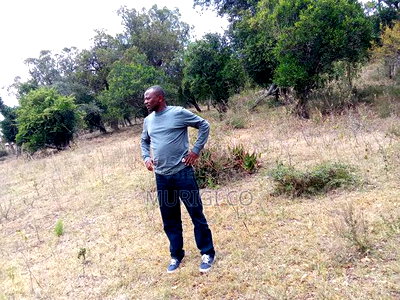 One And Half Acre - Image 2