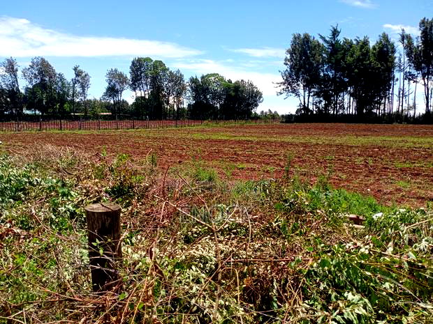 Prime Plots Touching Tarmac in Ilula, Eldoret