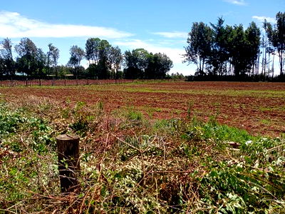 Prime Plots Touching Tarmac in Ilula, Eldoret - Image 2