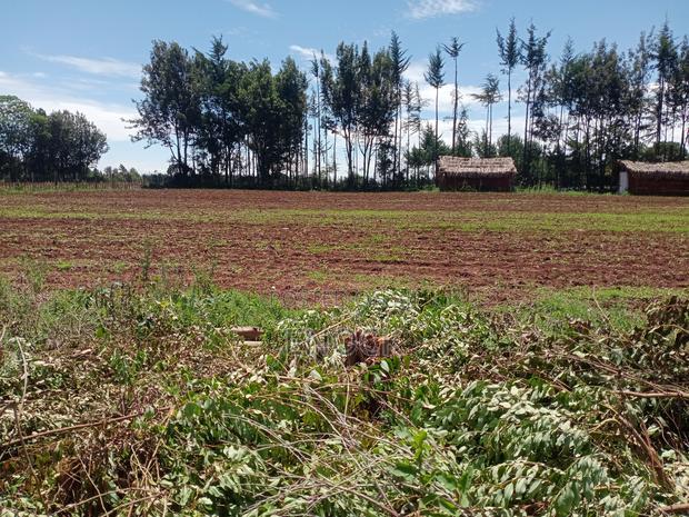 Prime Plots Touching Tarmac in Ilula, Eldoret