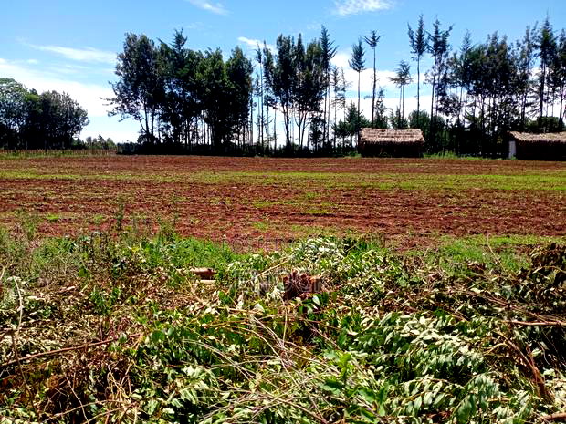 Prime Plots Touching Tarmac in Ilula, Eldoret