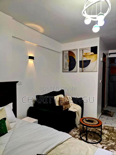 Furnished 1bdrm Bedsitter in South B for rent - Image 2