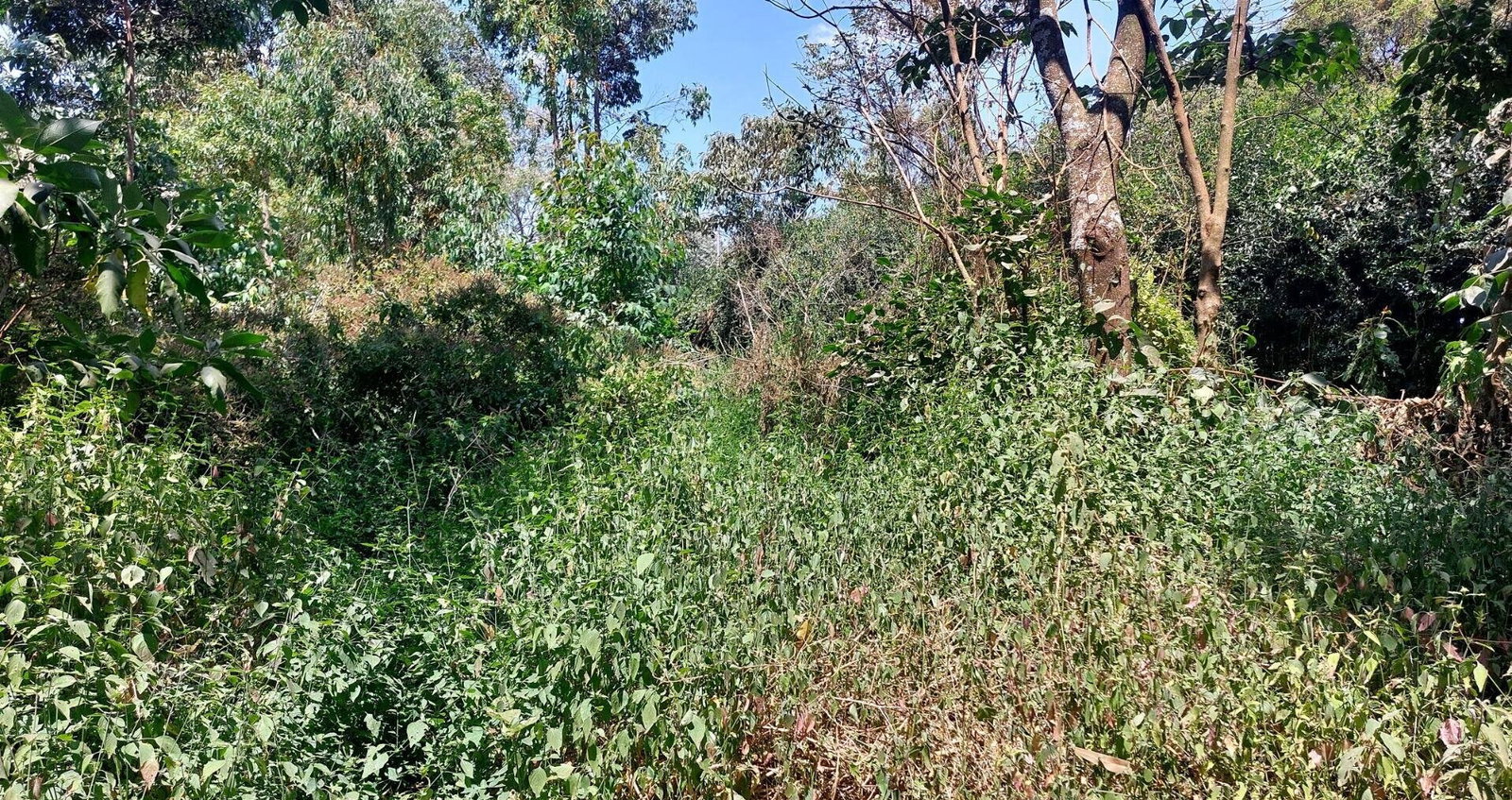 1 Acre Garden Plot in Karen at KSh 60M