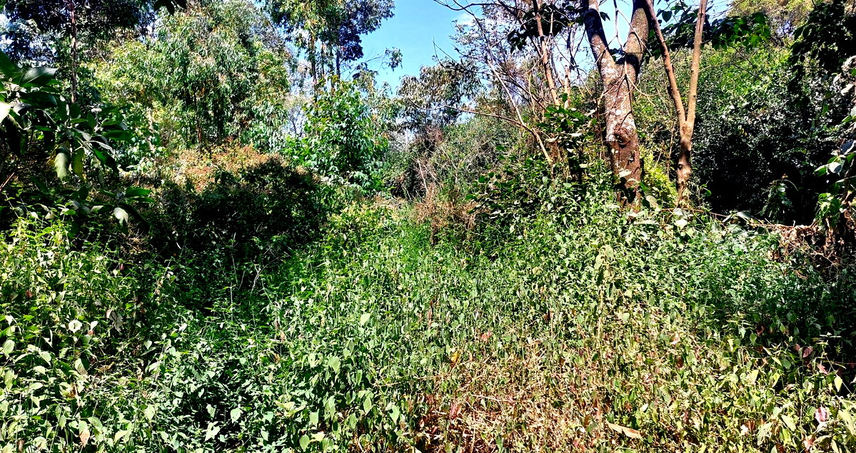1 Acre Garden Plot in Karen at KSh 60M