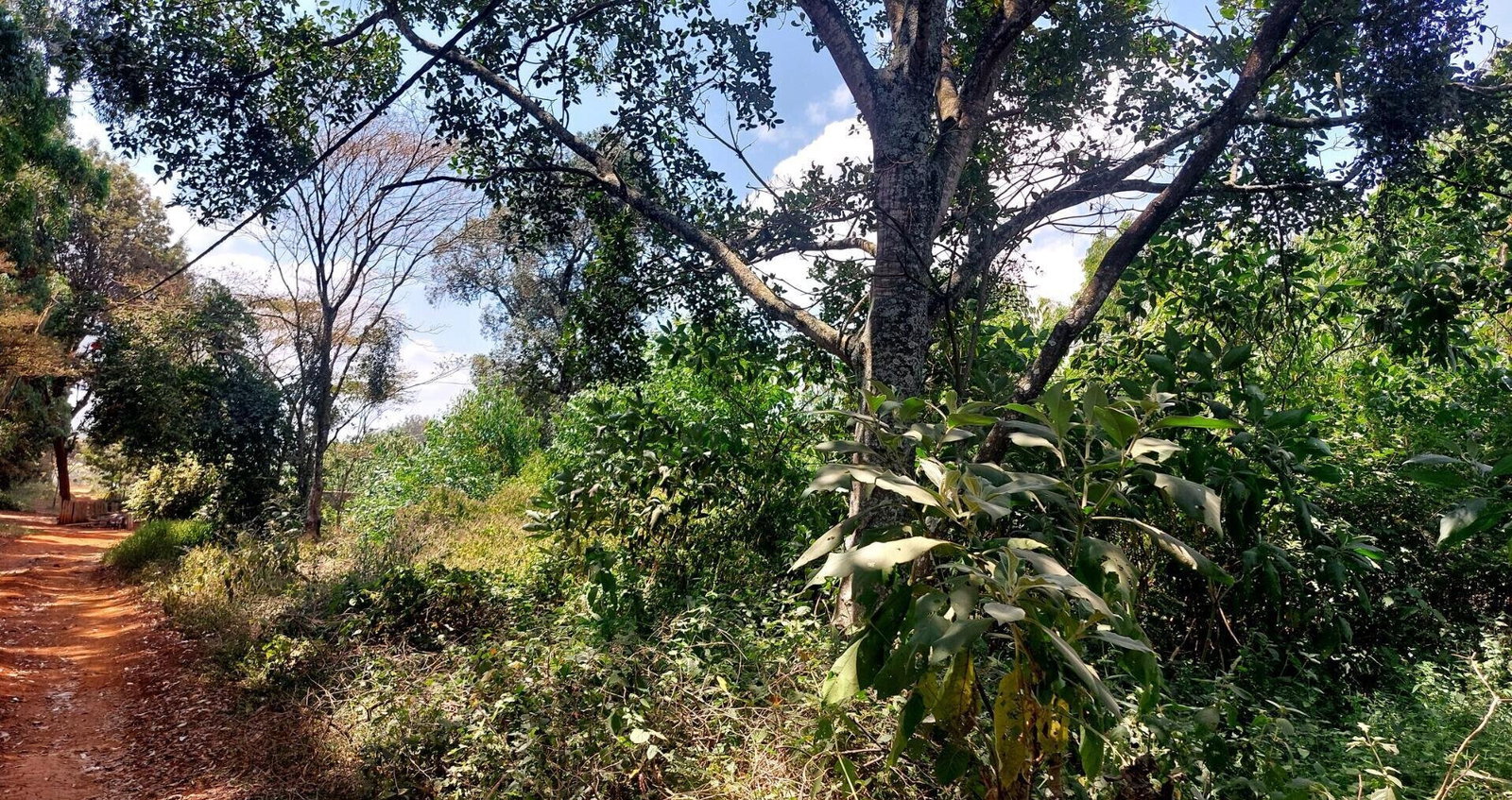 1 Acre Garden Plot in Karen at KSh 60M
