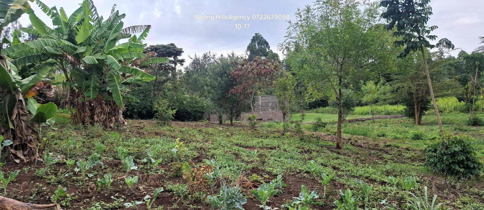 Ngong Plot at KSh 2.5M