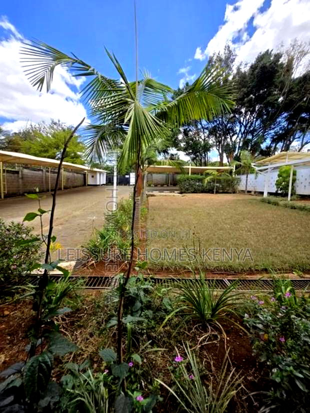 Commercial Offices on One Acre in Lavington