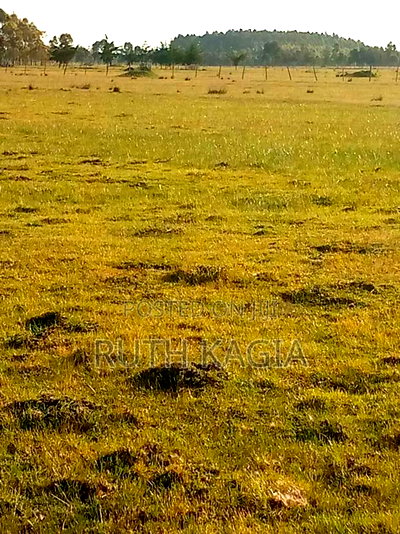 A Large Track of Land for Sale at Nyandarua. - Image 1