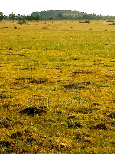 A Large Track of Land for Sale at Nyandarua. - Image 2