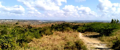 4.86-Acre Plot with Panoramic Views - KSh 30.2M