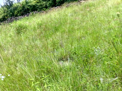 1 Acre for Sale - Image 14