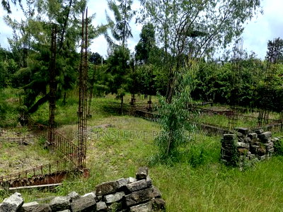 1 Acre for Sale - Image 5