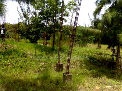 1 Acre for Sale - Image 2