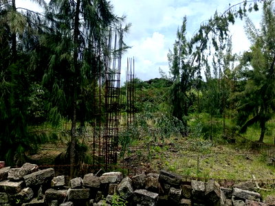 1 Acre for Sale - Image 8