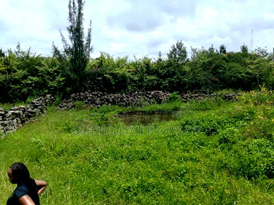 1 Acre for Sale - Image 4