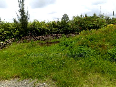 1 Acre for Sale - Image 10