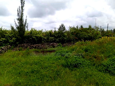 1 Acre for Sale - Image 9