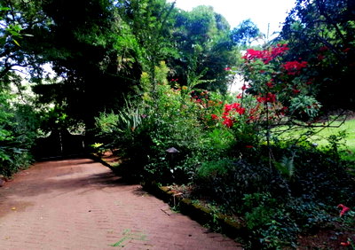 0.85 Acre Lavington Plot for KSh 185M