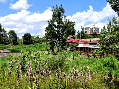 50x100 Plot for Sale in Kilawa Road - Image 5