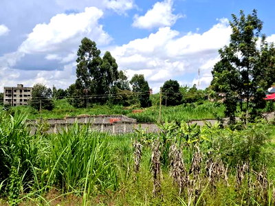 50x100 Plot for Sale in Kilawa Road - Image 3