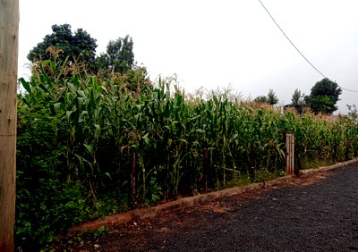 KSh 11M Garden Plot with Parking
