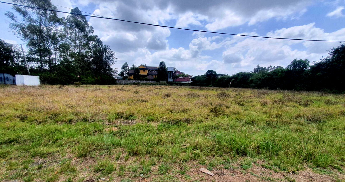1-Acre Townhouse Plot on Mukoma Road – Karen