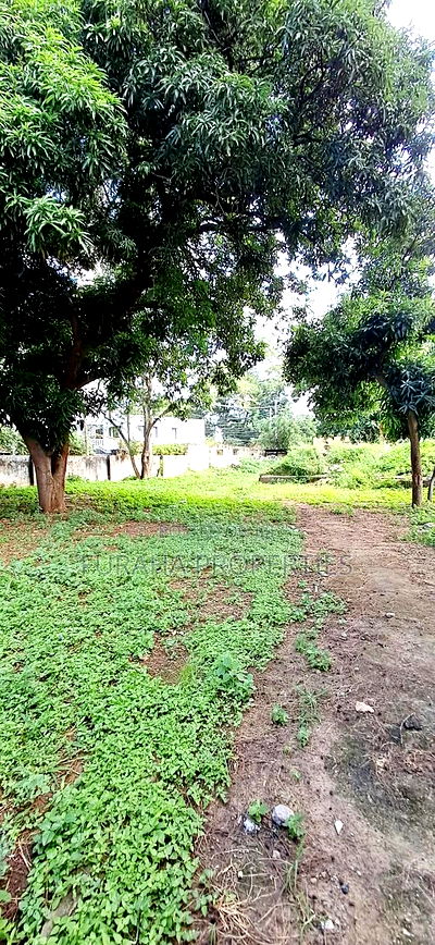 For Sale Half Acre Land Tudor - Image 4