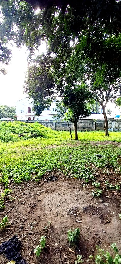 For Sale Half Acre Land Tudor - Image 2