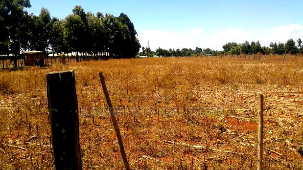 3 Plots 3/4 With Title Kiplombe Good for Residential