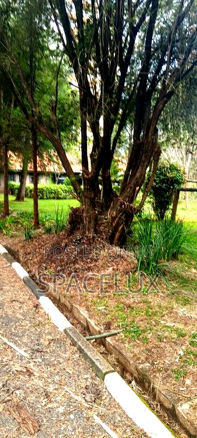 Attractive 0.9 Acres for Townhouse Development - Image 4