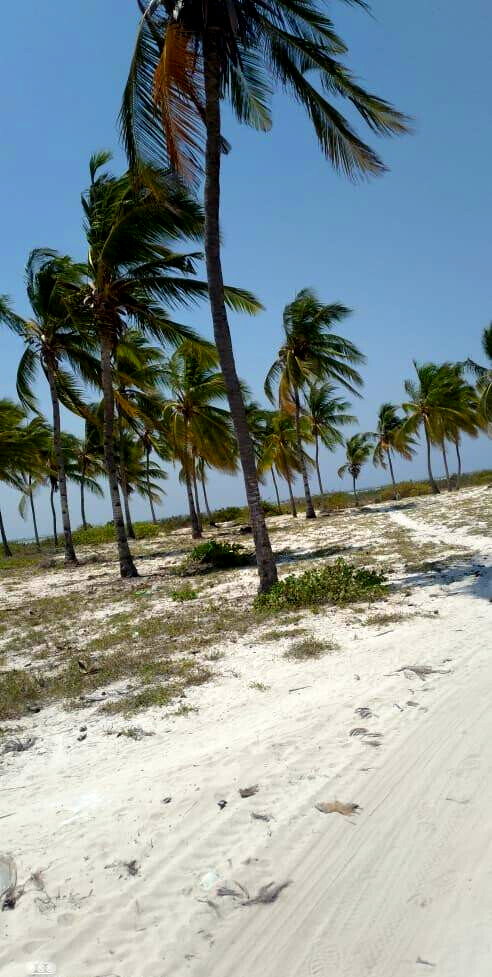 2-Acre Beachfront Land for KSh 34M