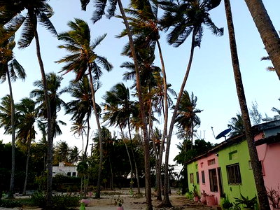 1.5 Acres Sandly Beach Plot in Shelly Beach - Image 7