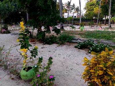 1.5 Acres Sandly Beach Plot in Shelly Beach - Image 6