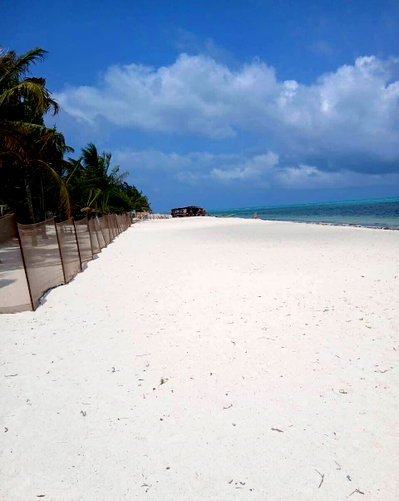 5-Acre Beachfront with Garden