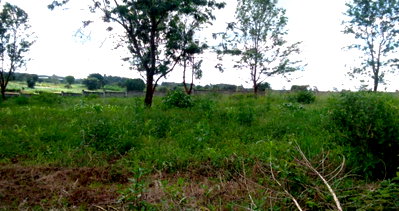 Quarter Acre Plot for KSh 6M