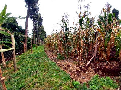 2.22 Ac Land for Sale in Kanunga - Image 4