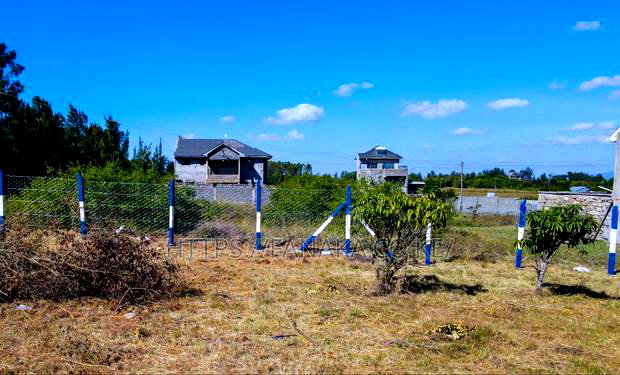 A State Of The Art Plots In Kamuluac