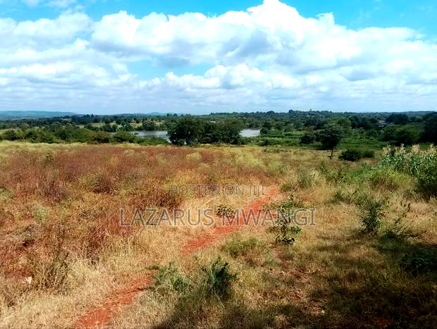 3 Acres of Fertile Land at Gitaraka Along R. Tana