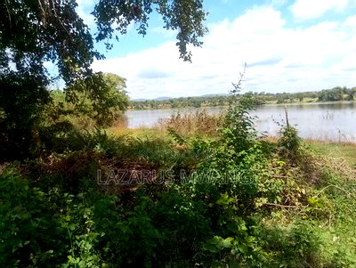 3 Acres of Fertile Land at Gitaraka Along R. Tana - Image 11