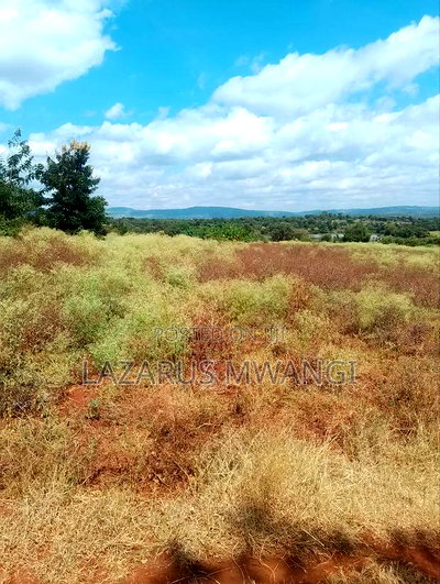 3 Acres of Fertile Land at Gitaraka Along R. Tana - Image 5